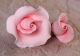Classic English Rose Bloom 'n Buds