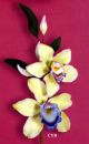 Cymbidium Orchid Spray