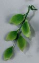 5 Petal Leaf Filler