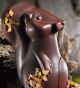Valrhona Squirrel Molds