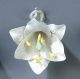 Medium Open Lily - Individual