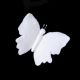 Gum Paste Butterfly Large - Individual