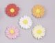 Petite Daisy