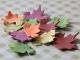 Assorted Fall Leaves - Individual, no wire