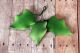 Holly Leaf - Large