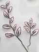 Tradescantia Zebrina Fillers