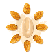 Valrhona Inpiration Almond Feves