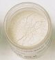 Luster Dust  - Antique Silk