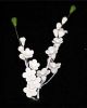 Lily of The Valley - Filler