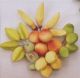 Bunch of Fruits (4 each of 6 types)
