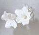 Bell Flower - Individual
