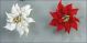 Poinsettia Large - Individual