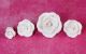 Petite Rose Series, No Wire - Individual