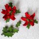 Poinsettia set