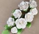 Rambling Rose Filler