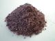 Freeze Dried Shiso Leaf  Powder