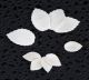 Assorted Rose Leaf No Wire